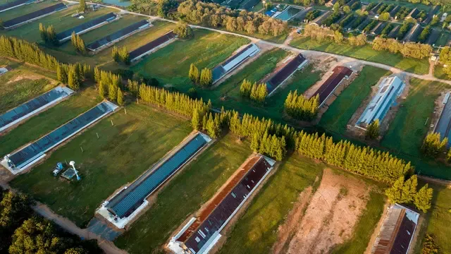 Agricultural solar photovoltaic installation